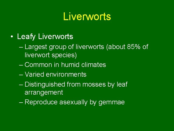 Liverworts • Leafy Liverworts – Largest group of liverworts (about 85% of liverwort species)