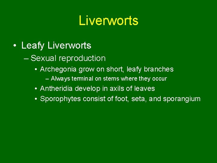 Liverworts • Leafy Liverworts – Sexual reproduction • Archegonia grow on short, leafy branches