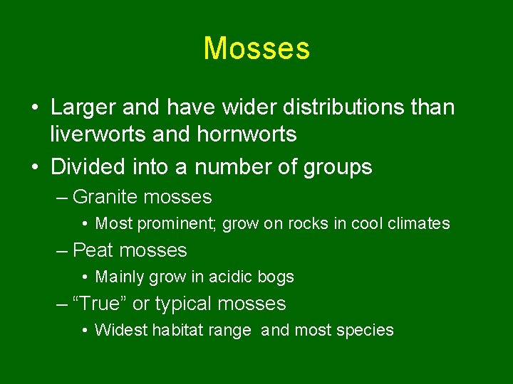 Mosses • Larger and have wider distributions than liverworts and hornworts • Divided into