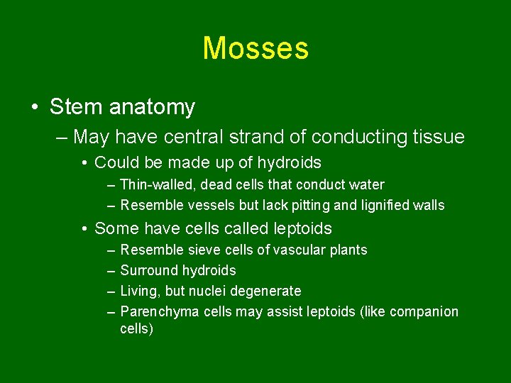 Mosses • Stem anatomy – May have central strand of conducting tissue • Could