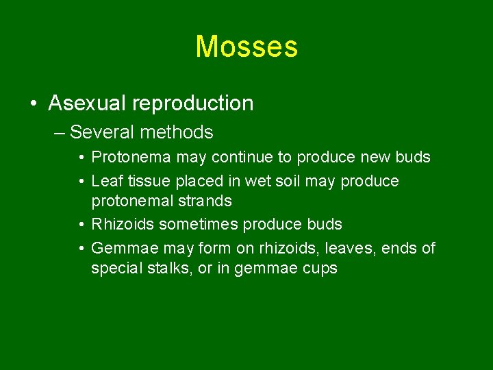 Mosses • Asexual reproduction – Several methods • Protonema may continue to produce new