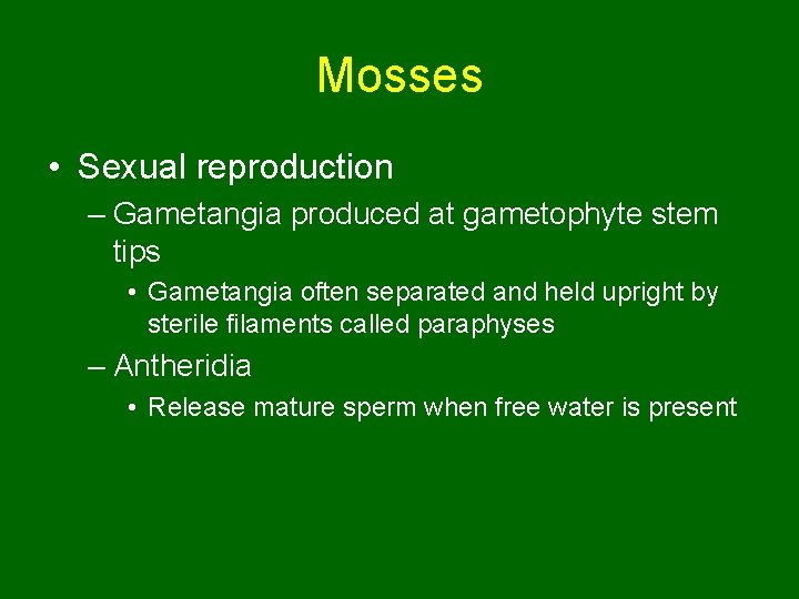 Mosses • Sexual reproduction – Gametangia produced at gametophyte stem tips • Gametangia often