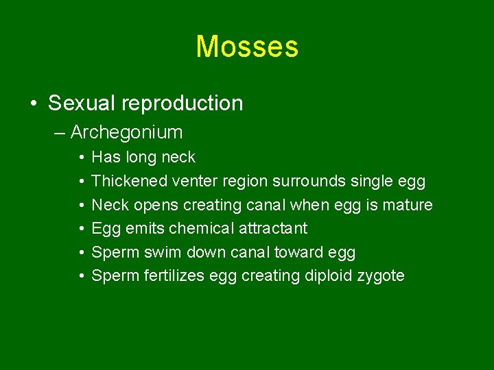 Mosses • Sexual reproduction – Archegonium • • • Has long neck Thickened venter