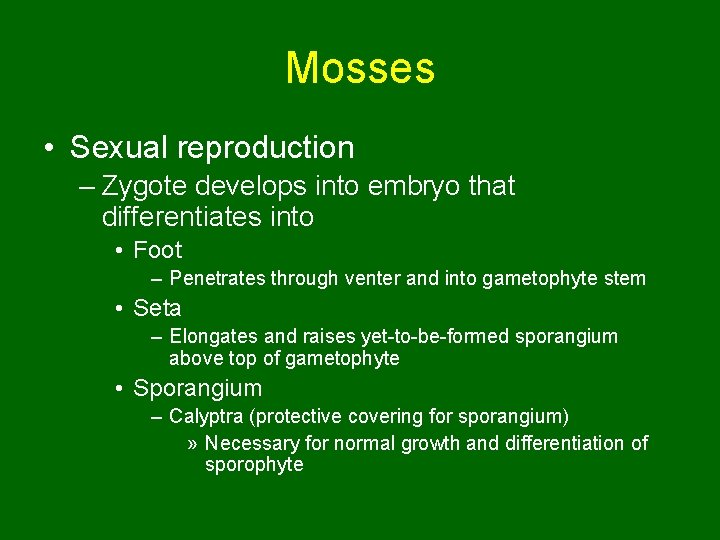 Mosses • Sexual reproduction – Zygote develops into embryo that differentiates into • Foot