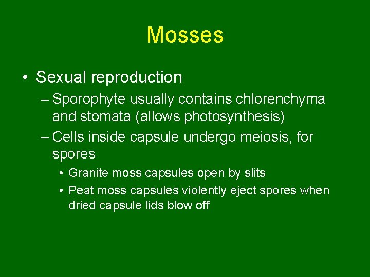 Mosses • Sexual reproduction – Sporophyte usually contains chlorenchyma and stomata (allows photosynthesis) –