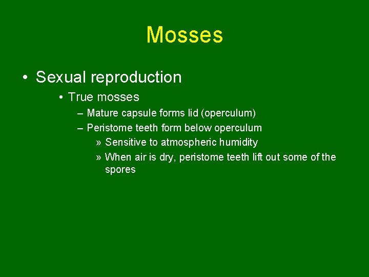 Mosses • Sexual reproduction • True mosses – Mature capsule forms lid (operculum) –