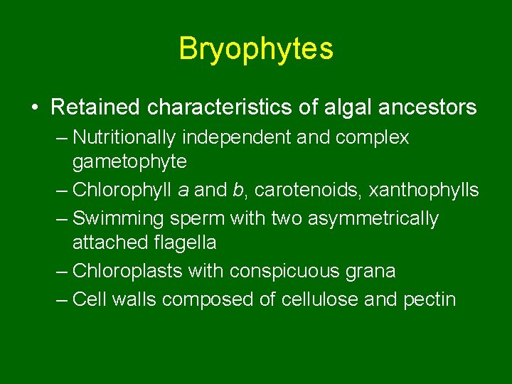 Bryophytes • Retained characteristics of algal ancestors – Nutritionally independent and complex gametophyte –