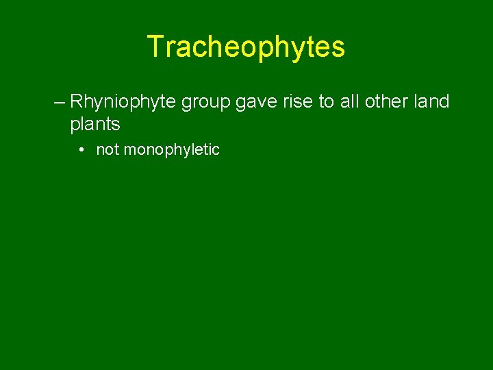 Tracheophytes – Rhyniophyte group gave rise to all other land plants • not monophyletic