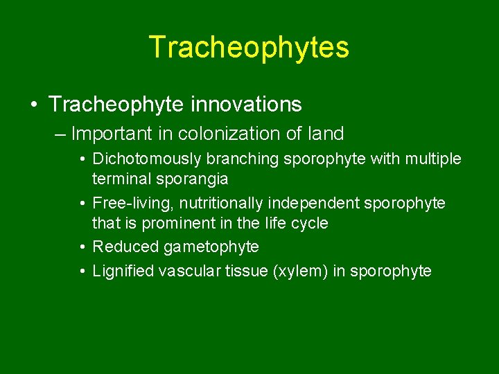 Tracheophytes • Tracheophyte innovations – Important in colonization of land • Dichotomously branching sporophyte