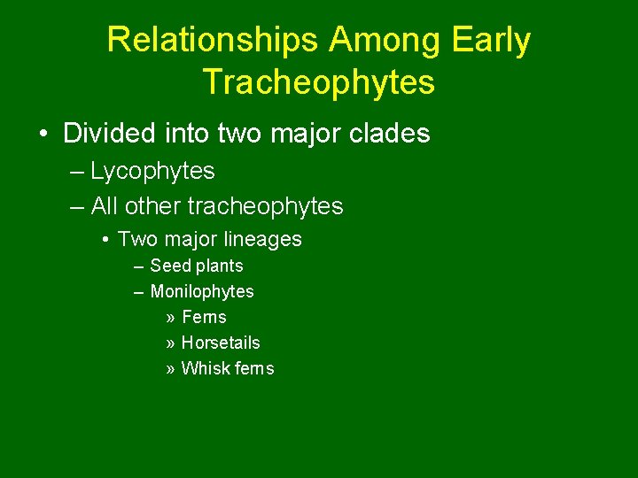 Relationships Among Early Tracheophytes • Divided into two major clades – Lycophytes – All