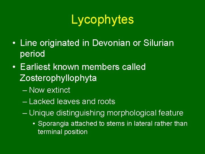Lycophytes • Line originated in Devonian or Silurian period • Earliest known members called