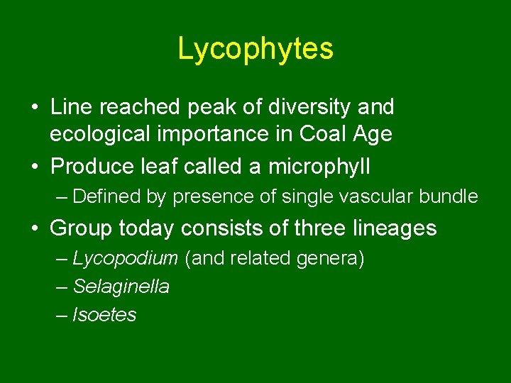 Lycophytes • Line reached peak of diversity and ecological importance in Coal Age •