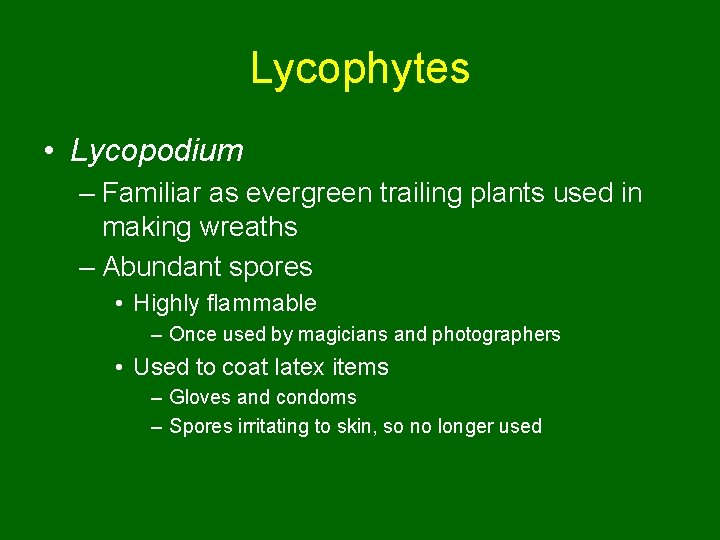 Lycophytes • Lycopodium – Familiar as evergreen trailing plants used in making wreaths –