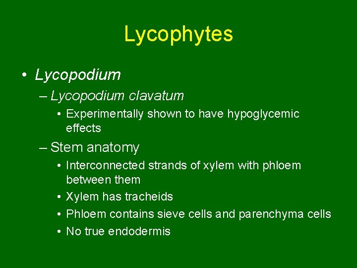 Lycophytes • Lycopodium – Lycopodium clavatum • Experimentally shown to have hypoglycemic effects –