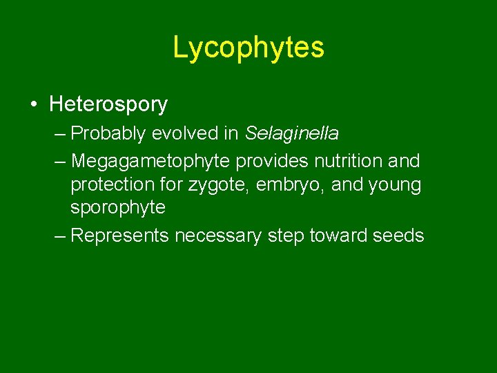 Lycophytes • Heterospory – Probably evolved in Selaginella – Megagametophyte provides nutrition and protection