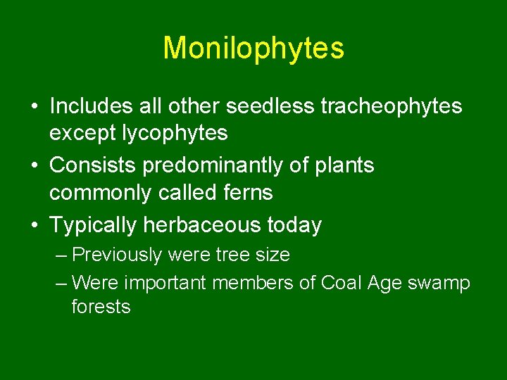 Monilophytes • Includes all other seedless tracheophytes except lycophytes • Consists predominantly of plants