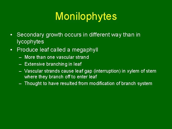 Monilophytes • Secondary growth occurs in different way than in lycophytes • Produce leaf