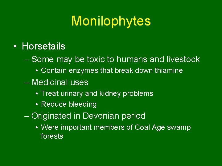 Monilophytes • Horsetails – Some may be toxic to humans and livestock • Contain