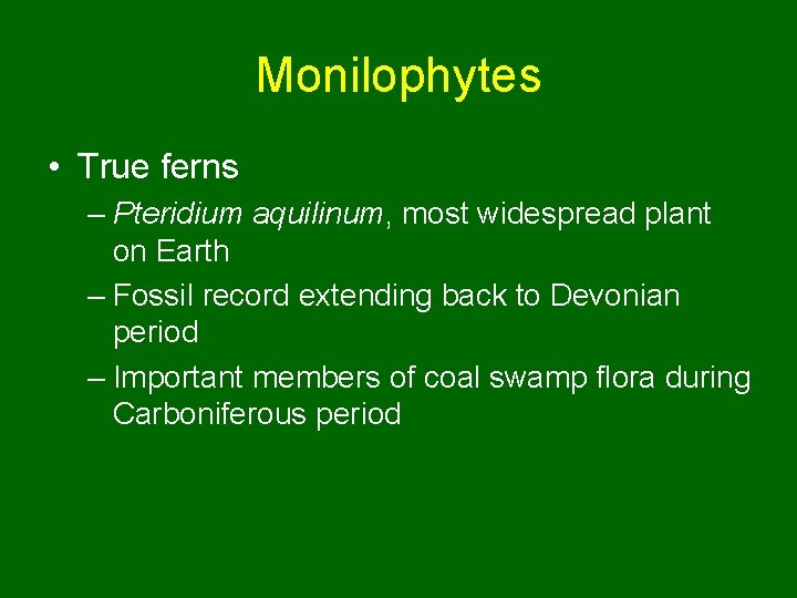 Monilophytes • True ferns – Pteridium aquilinum, most widespread plant on Earth – Fossil