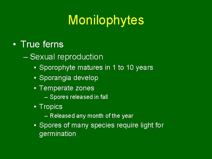 Monilophytes • True ferns – Sexual reproduction • Sporophyte matures in 1 to 10
