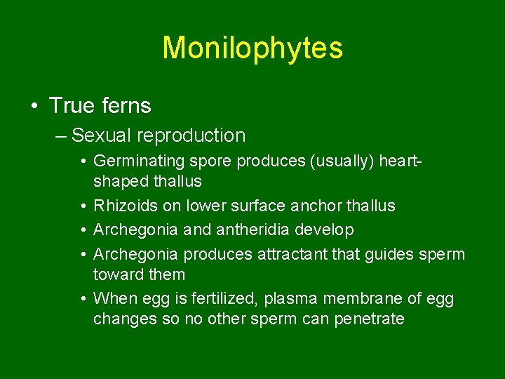 Monilophytes • True ferns – Sexual reproduction • Germinating spore produces (usually) heartshaped thallus