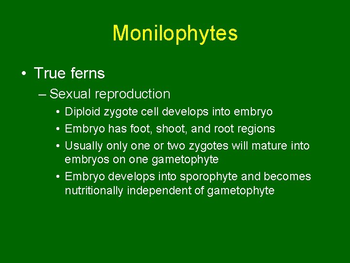 Monilophytes • True ferns – Sexual reproduction • Diploid zygote cell develops into embryo