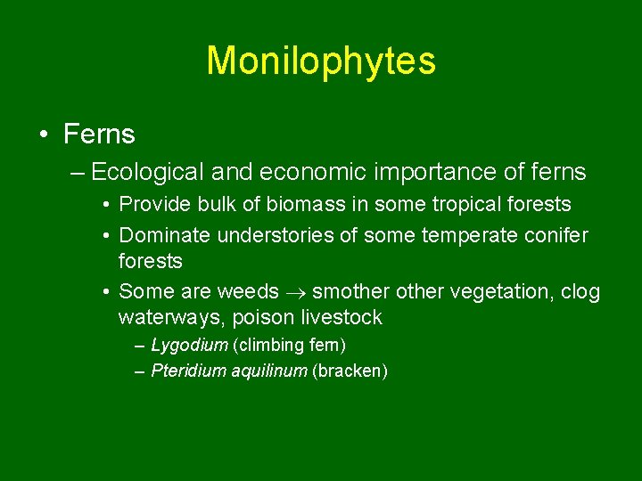 Monilophytes • Ferns – Ecological and economic importance of ferns • Provide bulk of