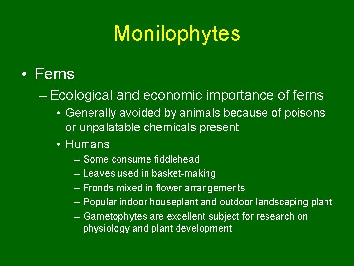 Monilophytes • Ferns – Ecological and economic importance of ferns • Generally avoided by