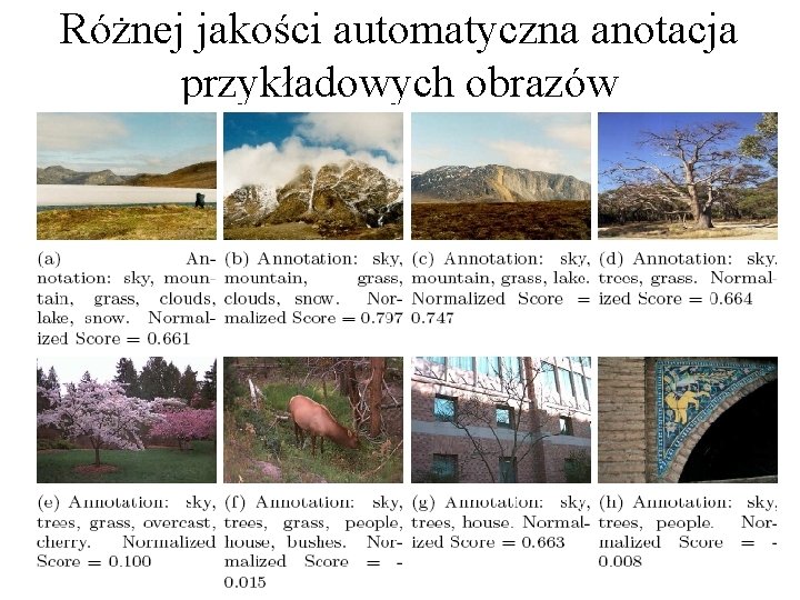 Różnej jakości automatyczna anotacja przykładowych obrazów 