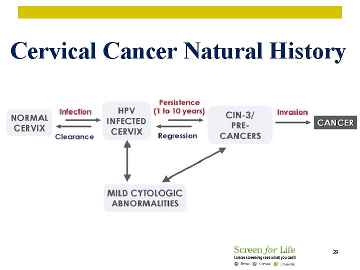 Cervical Cancer Natural History 29 