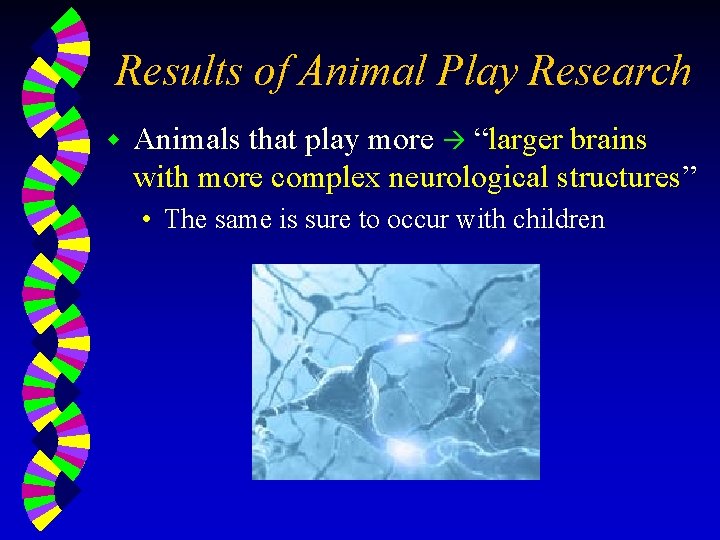 Results of Animal Play Research w Animals that play more “larger brains with more