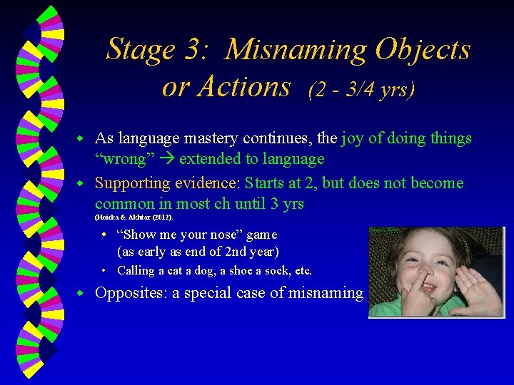 Stage 3: Misnaming Objects or Actions (2 - 3/4 yrs) As language mastery continues,
