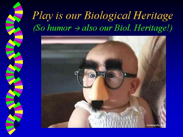 Play is our Biological Heritage (So humor also our Biol. Heritage!) 