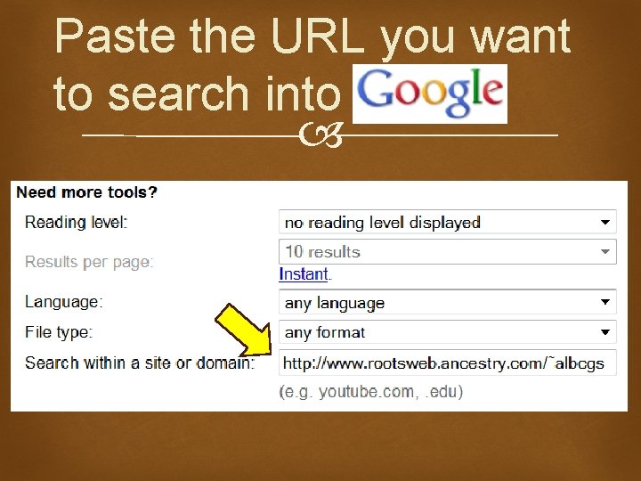 Paste the URL you want to search into 