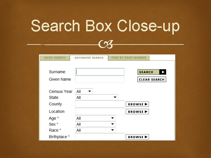 Search Box Close-up 