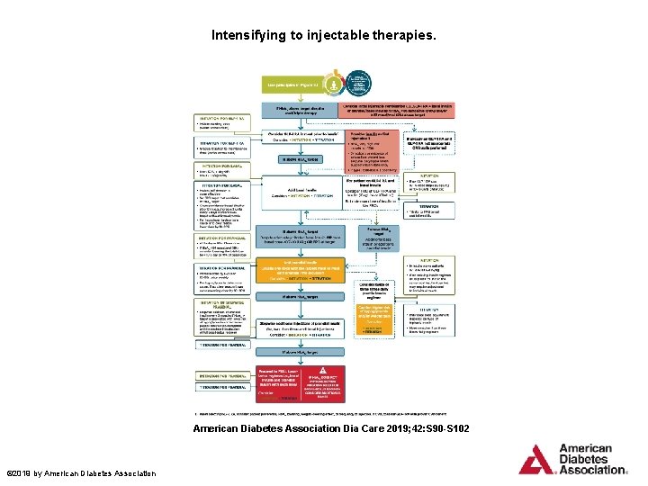 Intensifying to injectable therapies. American Diabetes Association Dia Care 2019; 42: S 90 -S
