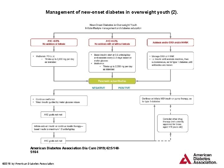 Management of new-onset diabetes in overweight youth (2). American Diabetes Association Dia Care 2019;