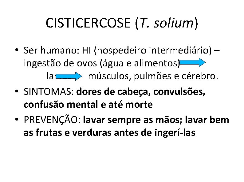 CISTICERCOSE (T. solium) • Ser humano: HI (hospedeiro intermediário) – ingestão de ovos (água