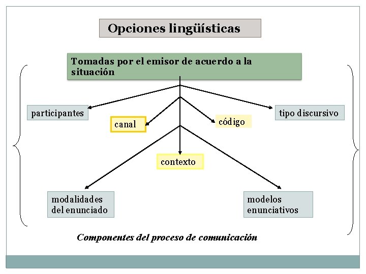  Opciones lingüísticas Tomadas por el emisor de acuerdo a la situación participantes tipo