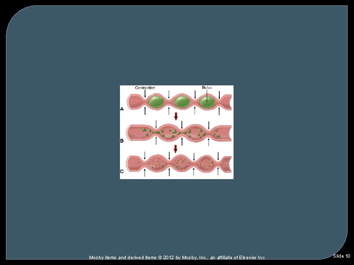 Mosby items and derived items © 2012 by Mosby, Inc. , an affiliate of Mosby items and derived items © 2012 by Mosby, Inc. , an affiliate of
