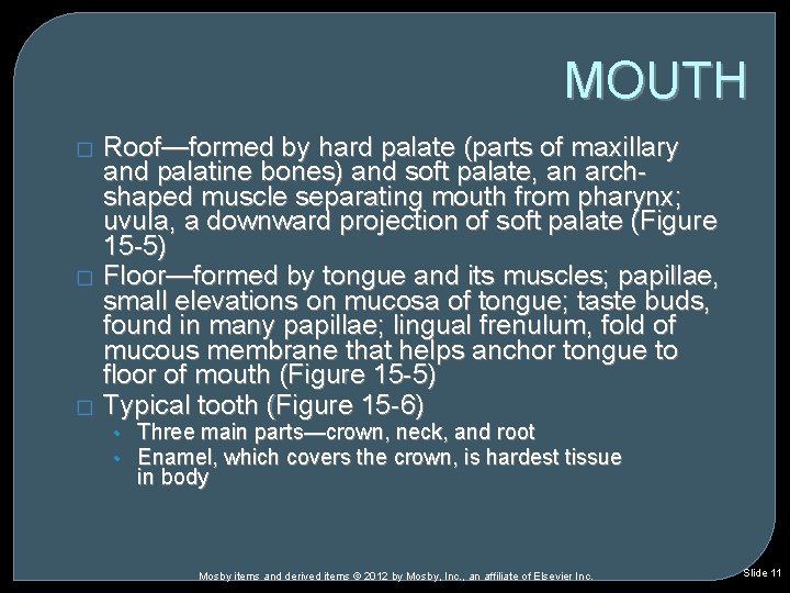 MOUTH � � � Roof—formed by hard palate (parts of maxillary and palatine bones) MOUTH � � � Roof—formed by hard palate (parts of maxillary and palatine bones)