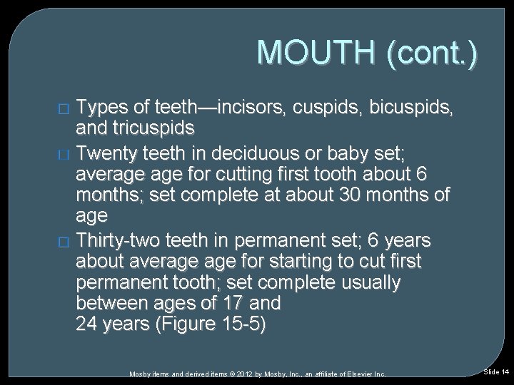 MOUTH (cont. ) Types of teeth—incisors, cuspids, bicuspids, and tricuspids � Twenty teeth in MOUTH (cont. ) Types of teeth—incisors, cuspids, bicuspids, and tricuspids � Twenty teeth in
