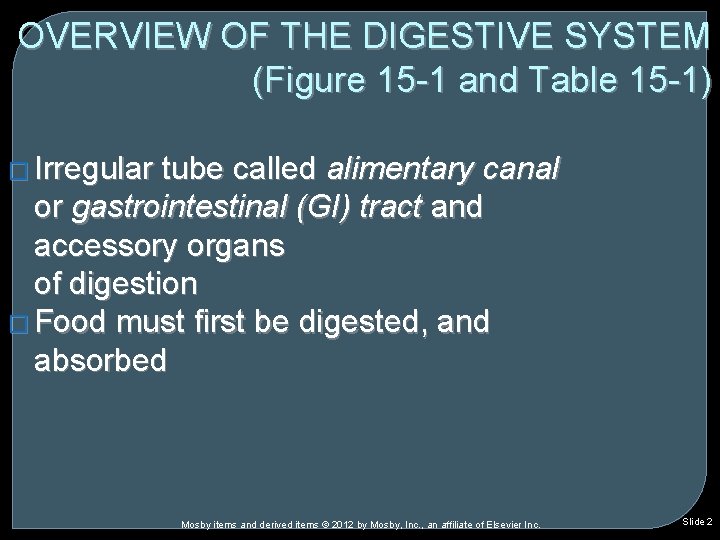 OVERVIEW OF THE DIGESTIVE SYSTEM (Figure 15 -1 and Table 15 -1) � Irregular OVERVIEW OF THE DIGESTIVE SYSTEM (Figure 15 -1 and Table 15 -1) � Irregular