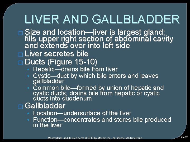 LIVER AND GALLBLADDER � Size and location—liver is largest gland; fills upper right section LIVER AND GALLBLADDER � Size and location—liver is largest gland; fills upper right section