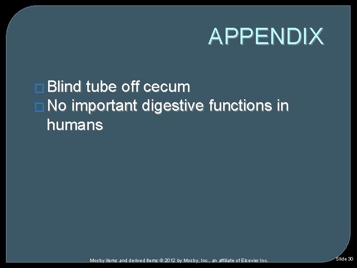 APPENDIX � Blind tube off cecum � No important digestive functions in humans Mosby APPENDIX � Blind tube off cecum � No important digestive functions in humans Mosby