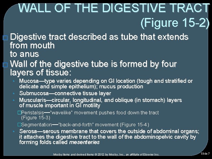 WALL OF THE DIGESTIVE TRACT (Figure 15 -2) � Digestive tract described as tube WALL OF THE DIGESTIVE TRACT (Figure 15 -2) � Digestive tract described as tube