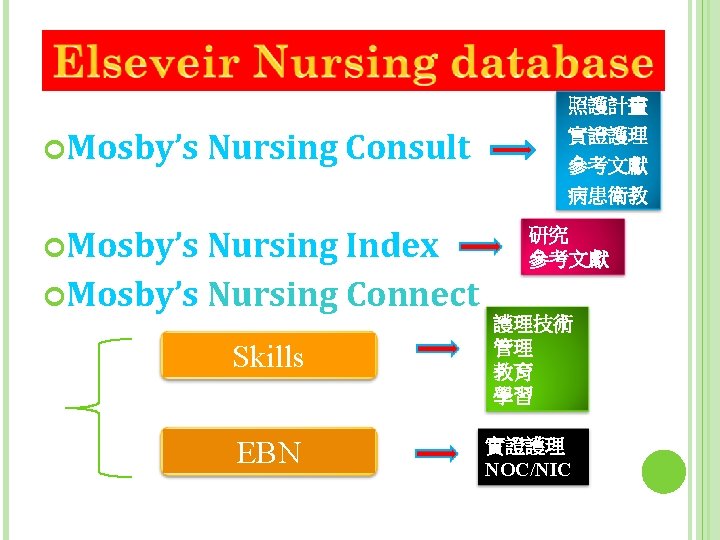 照護計畫 Mosby’s Nursing Consult Mosby’s Nursing Index Mosby’s Nursing Connect 實證護理 參考文獻 病患衛教 研究