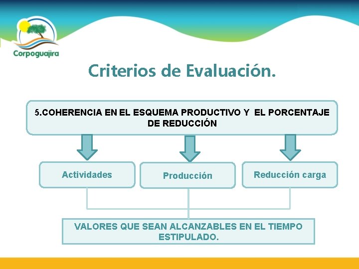 Criterios de Evaluación. 5. COHERENCIA EN EL ESQUEMA PRODUCTIVO Y EL PORCENTAJE DE REDUCCIÓN