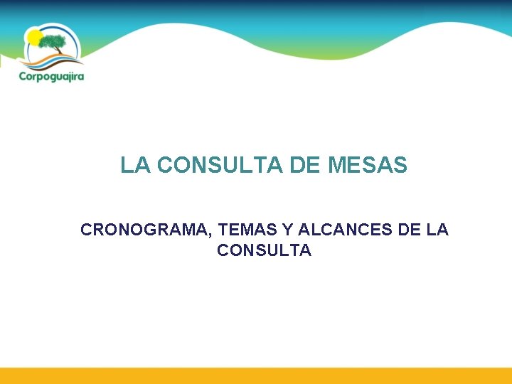 LA CONSULTA DE MESAS CRONOGRAMA, TEMAS Y ALCANCES DE LA CONSULTA 