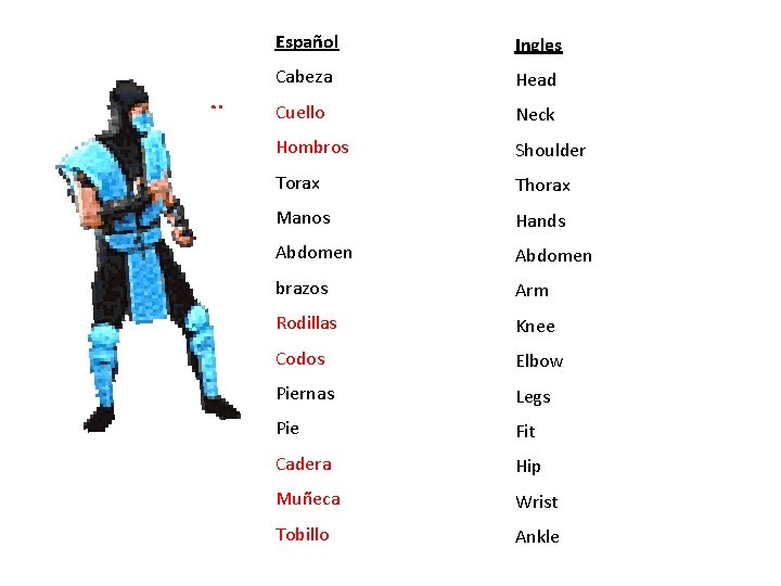 Español Ingles Cabeza Head Cuello Neck Hombros Shoulder Torax Thorax Manos Hands Abdomen brazos